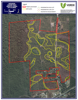 Wetland Maps of Florida Land